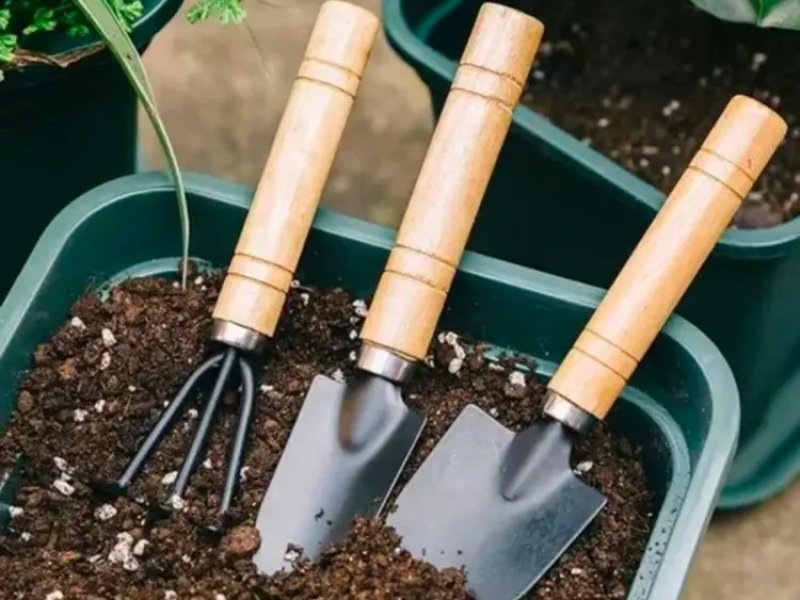 garden tools set